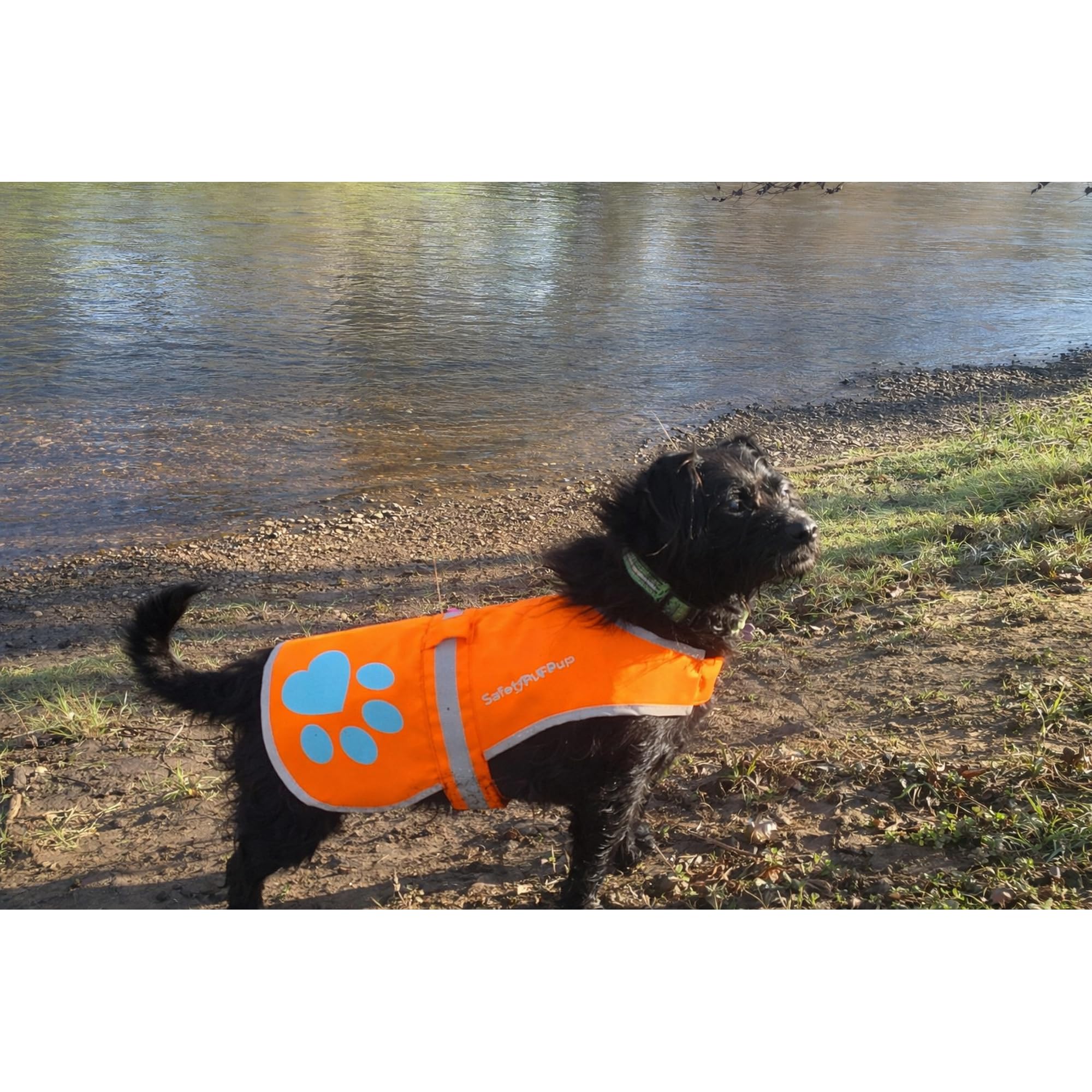 SafetyPUP XD rangement compact du gilet prêt pour transport