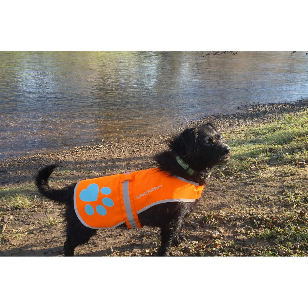 SafetyPUP XD rangement compact du gilet prêt pour transport