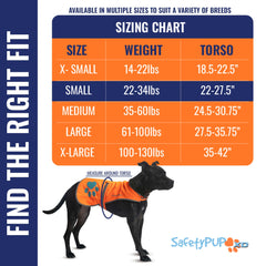 SafetyPUP XD gilet porté avec harnais montrant compatibilité pratique