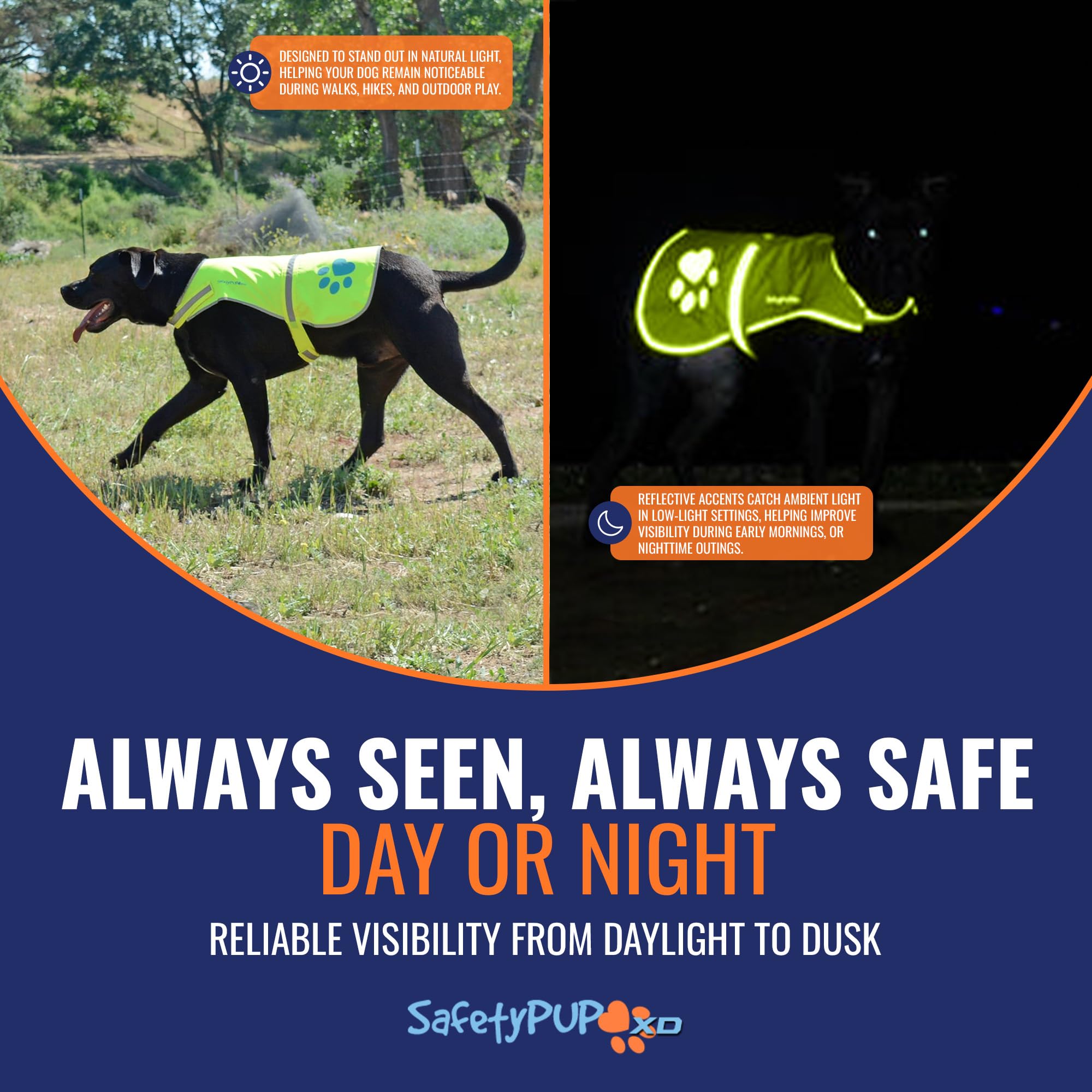 SafetyPUP XD gilet en situation montrant taille L sur grand chien