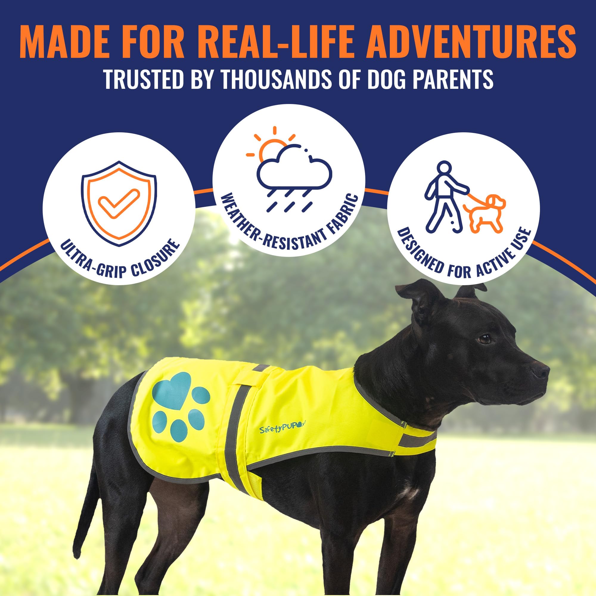 SafetyPUP XD détail de la sangle utilitaire pour accrocher accessoires