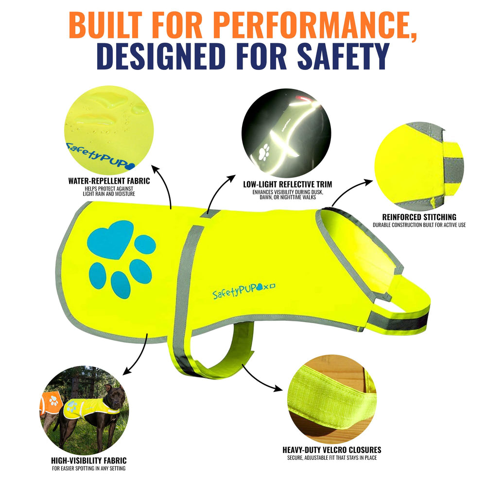 SafetyPUP XD gilet porté la nuit améliorant visibilité du chien