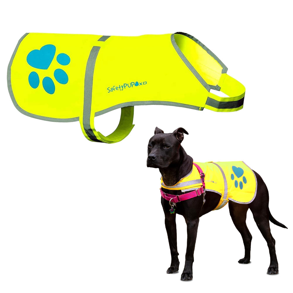 SafetyPUP XD face avant du gilet montrant haute visibilité