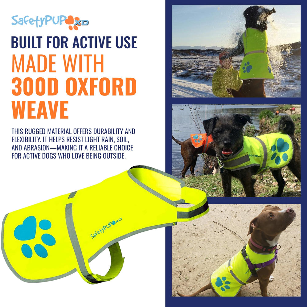SafetyPUP XD coutures renforcées assurant durabilité et résistance