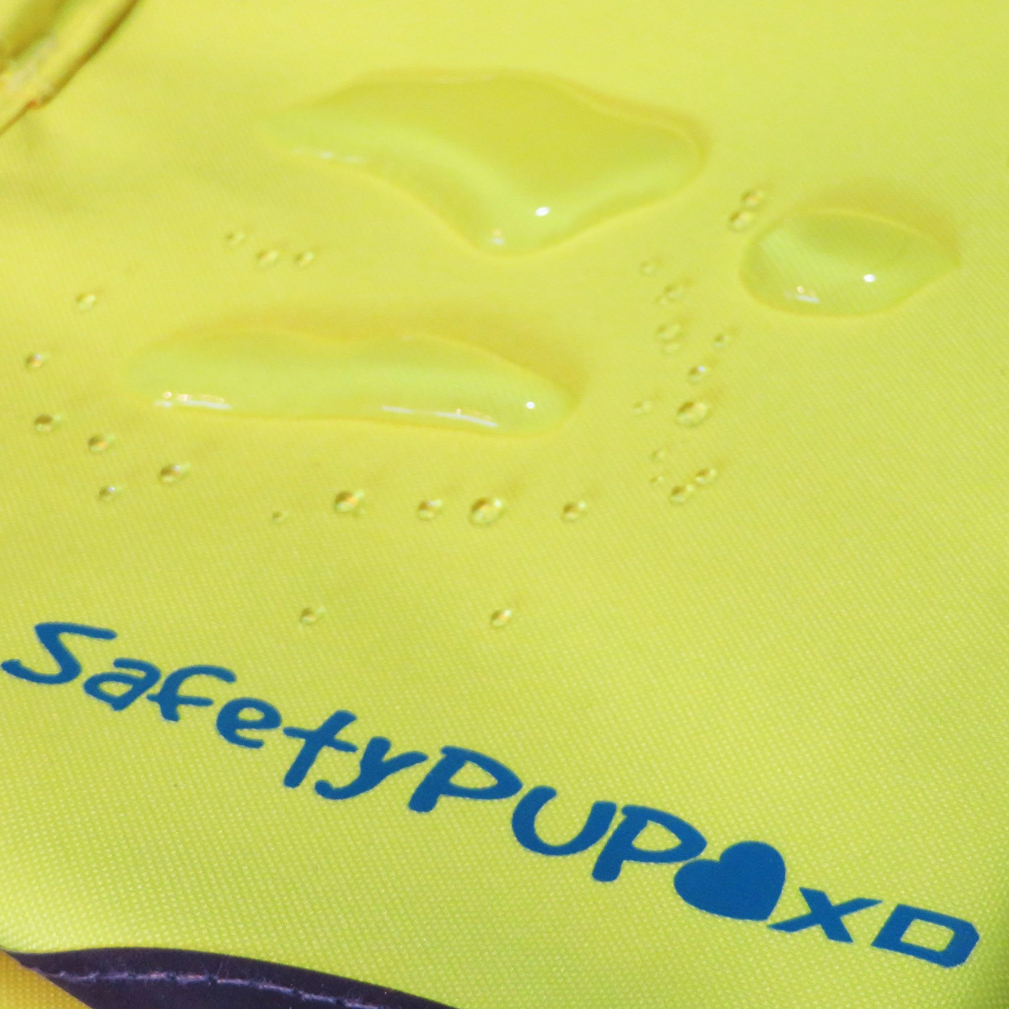 SafetyPUP XD promenade urbaine illustrant sécurité en faible lumière