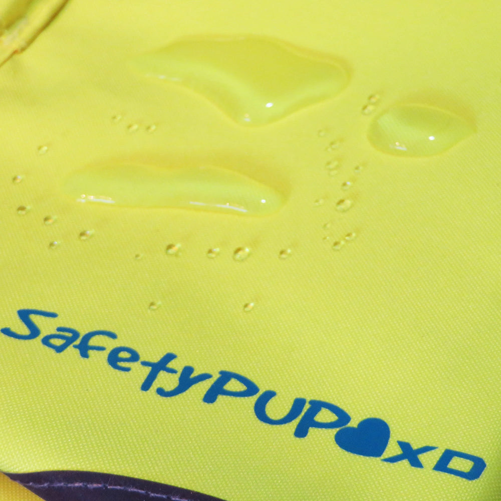 SafetyPUP XD promenade urbaine illustrant sécurité en faible lumière