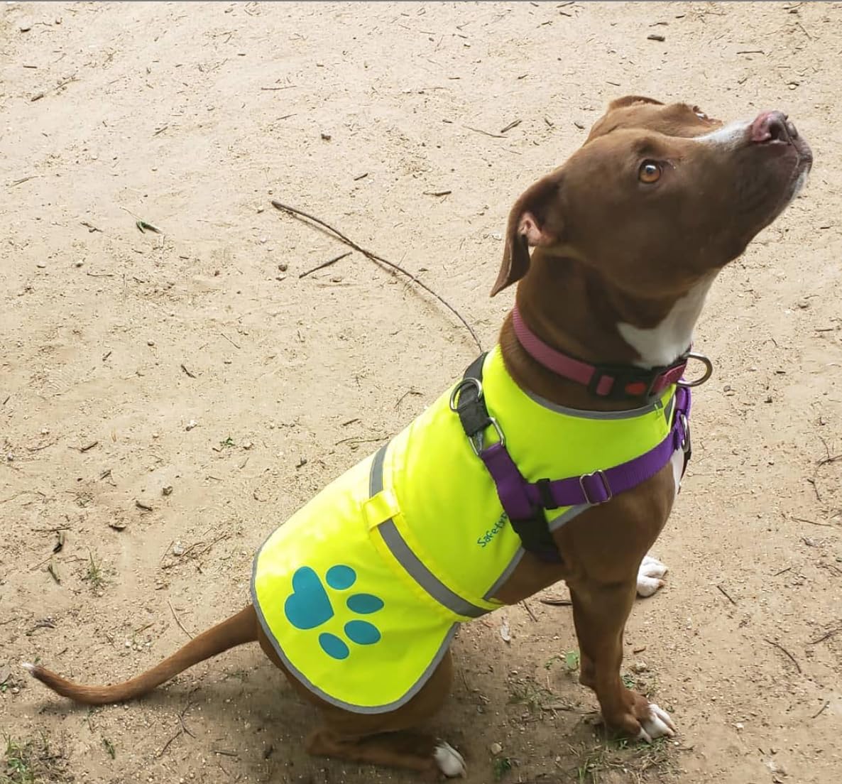 SafetyPUP XD profil compatible avec harnais pour confort sécurisé
