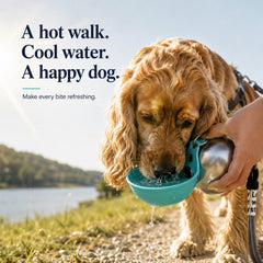 SAGREINO bol en silicone étiré prêt à servir eau au chien