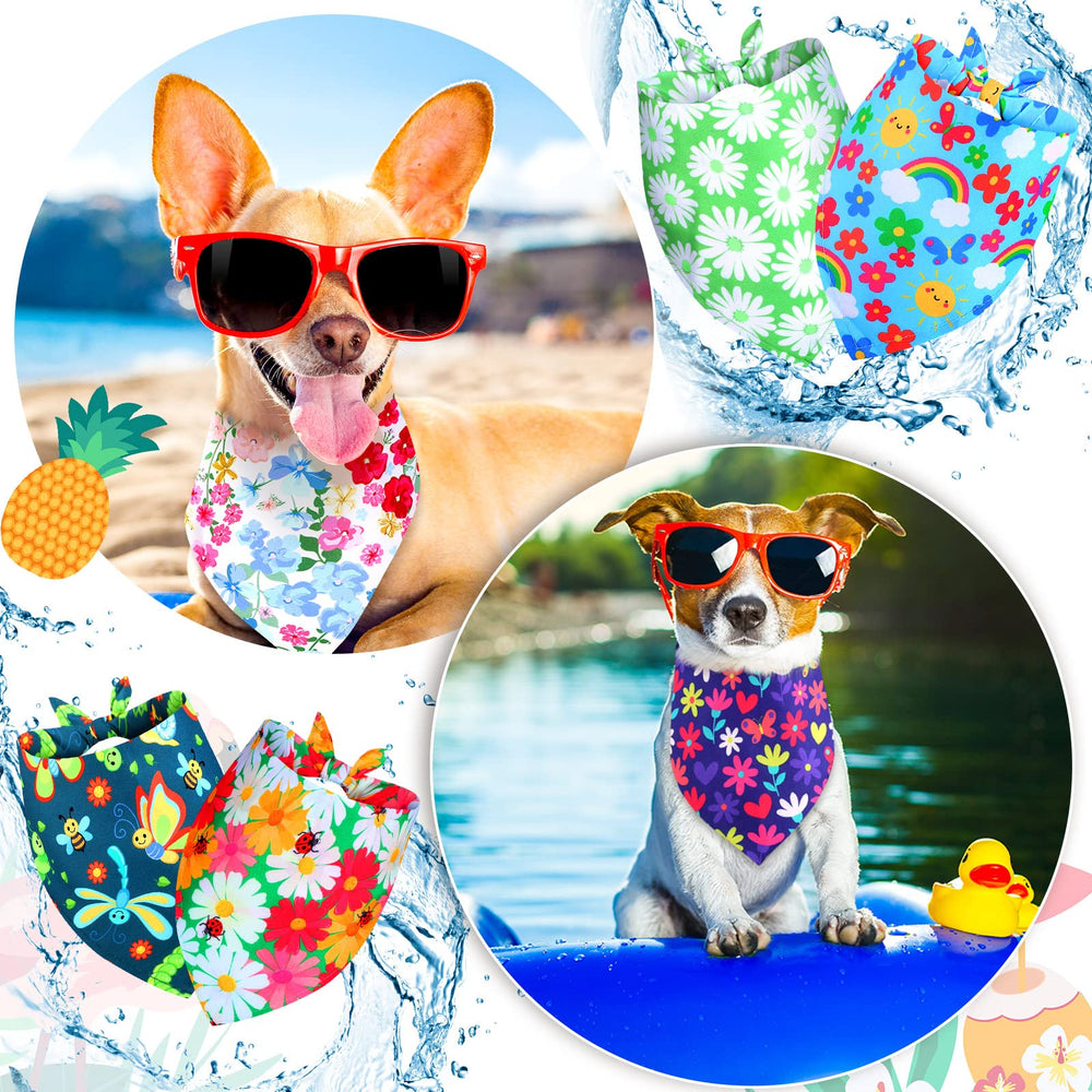 Saintrygo bandana noué au cou d'un chien, look ajustable et confortable