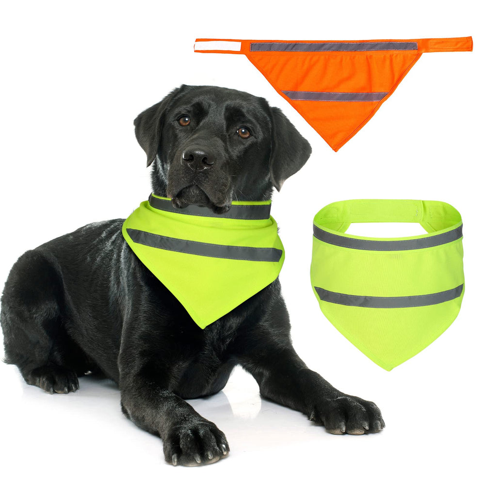 Saintrygo bandana face avant montrant motif visible et confort