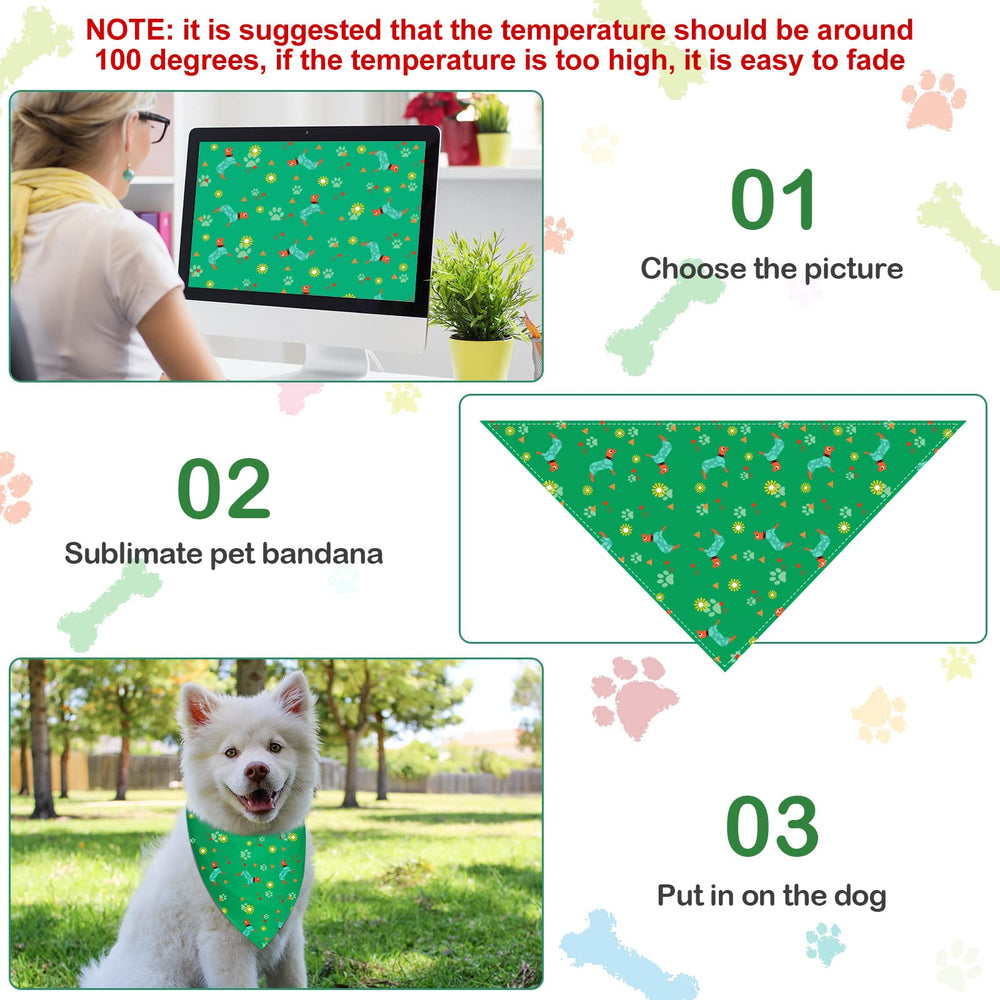 Saintrygo bandana noué sur chien montrant tenue élégante