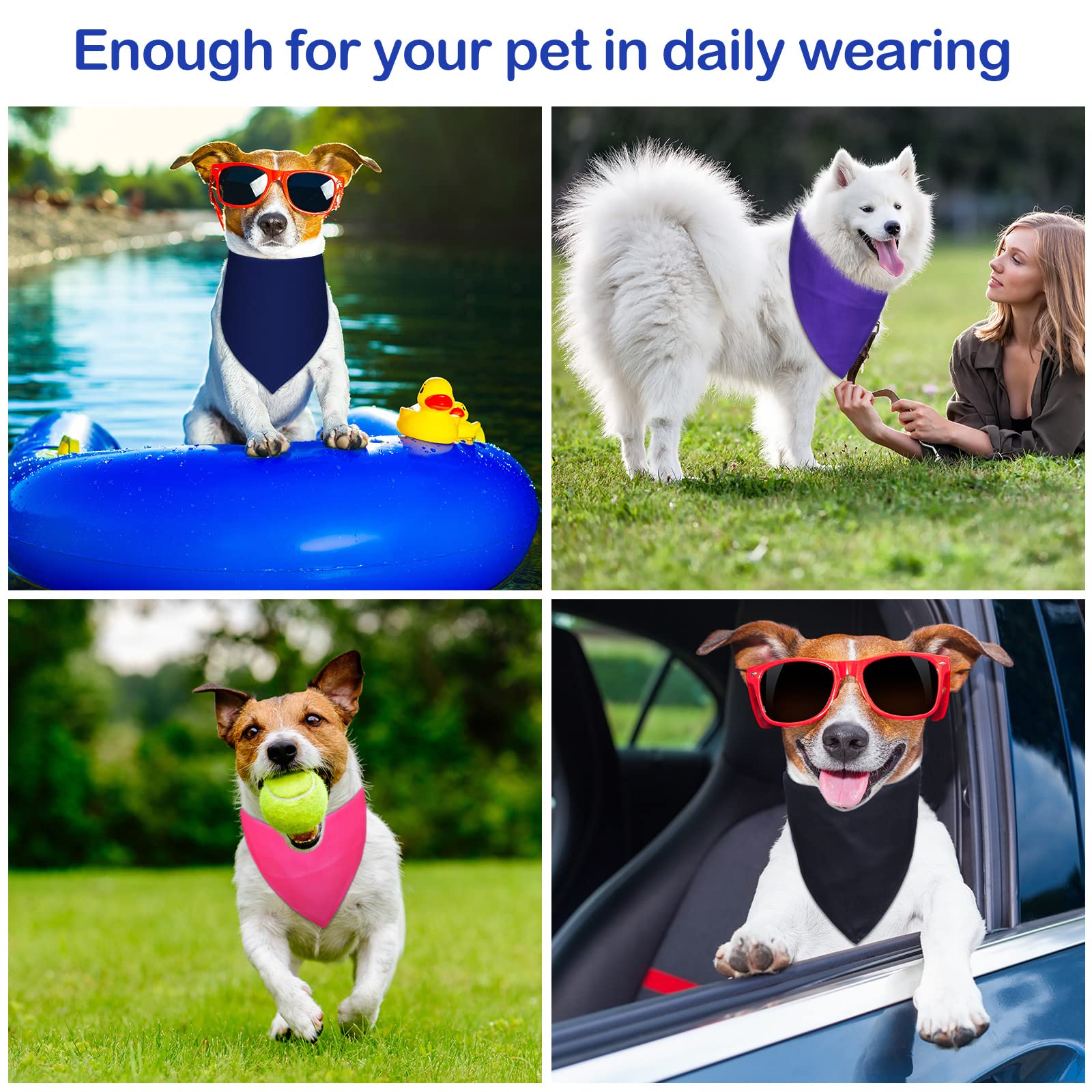 Saintrygo scène lifestyle chien en bandana pour photo et fête