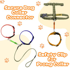 Saintrygo clip en usage entre collier et harnais offrant connexion sécurisée