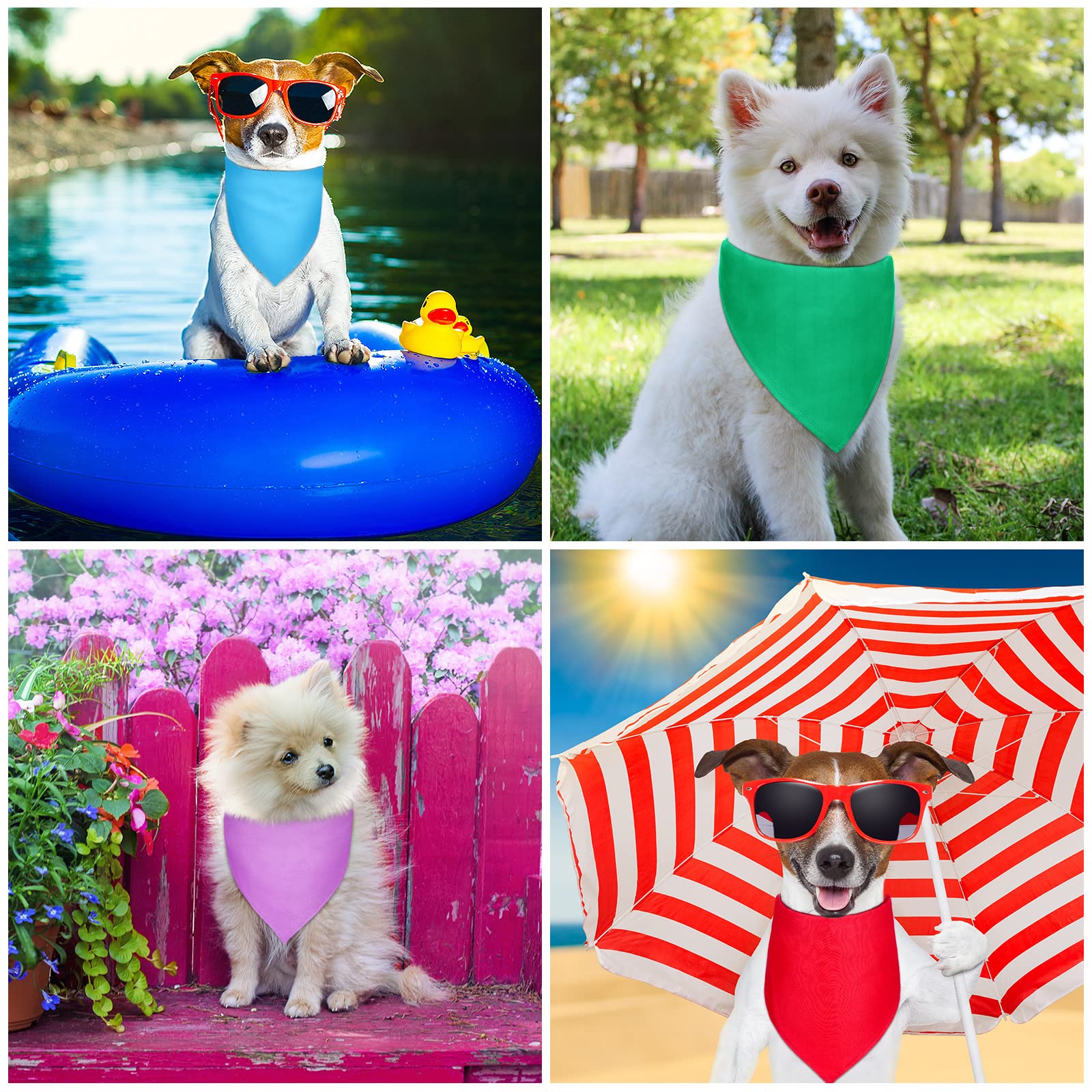 Saintrygo bandana porté pour comparaison de taille et ajustement