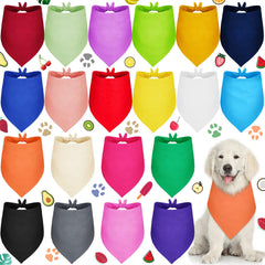 Saintrygo emballage avant montrant lot de 20 bandanas pratiques