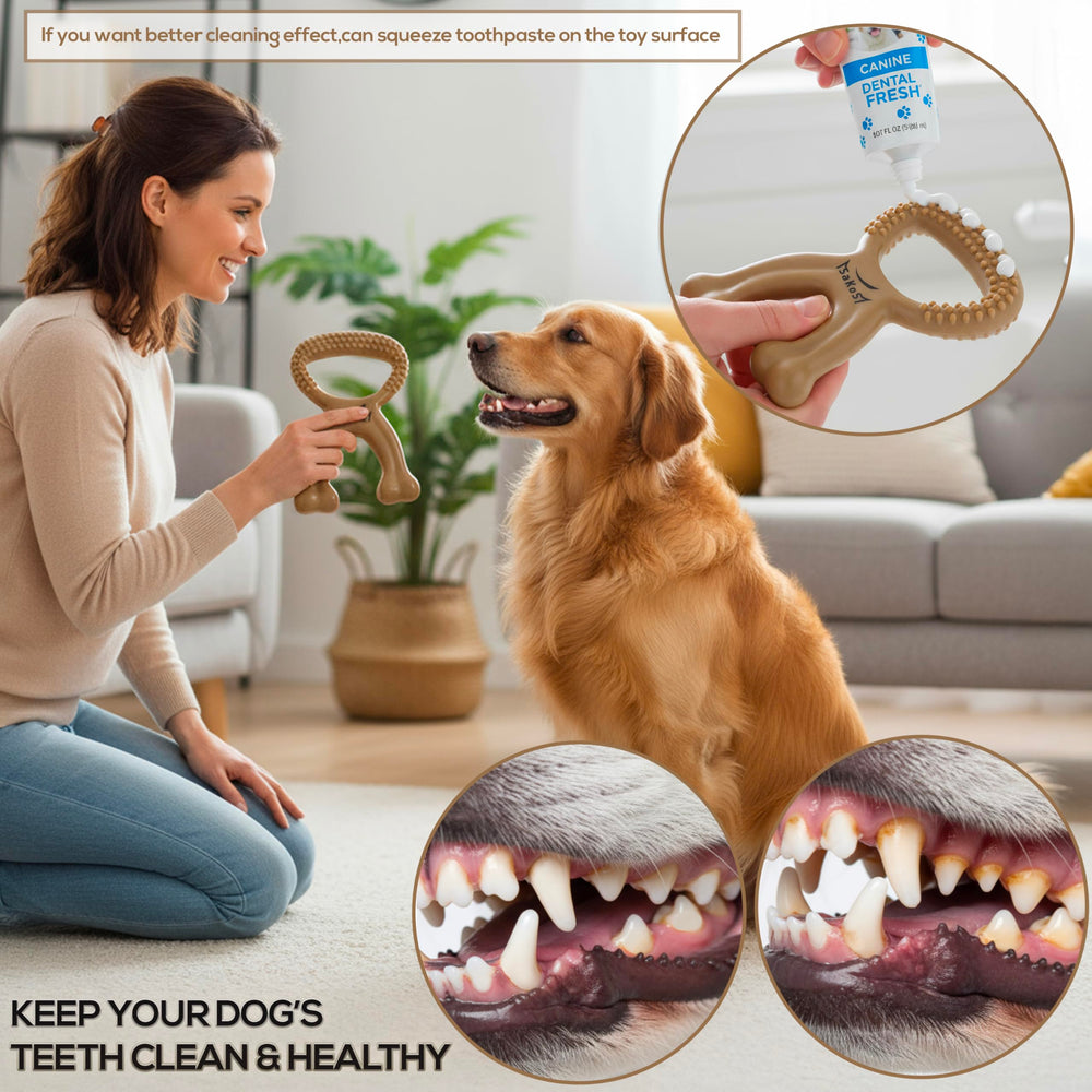 SAKOS Chew Buddy utilisé par un labrador pour divertissement actif