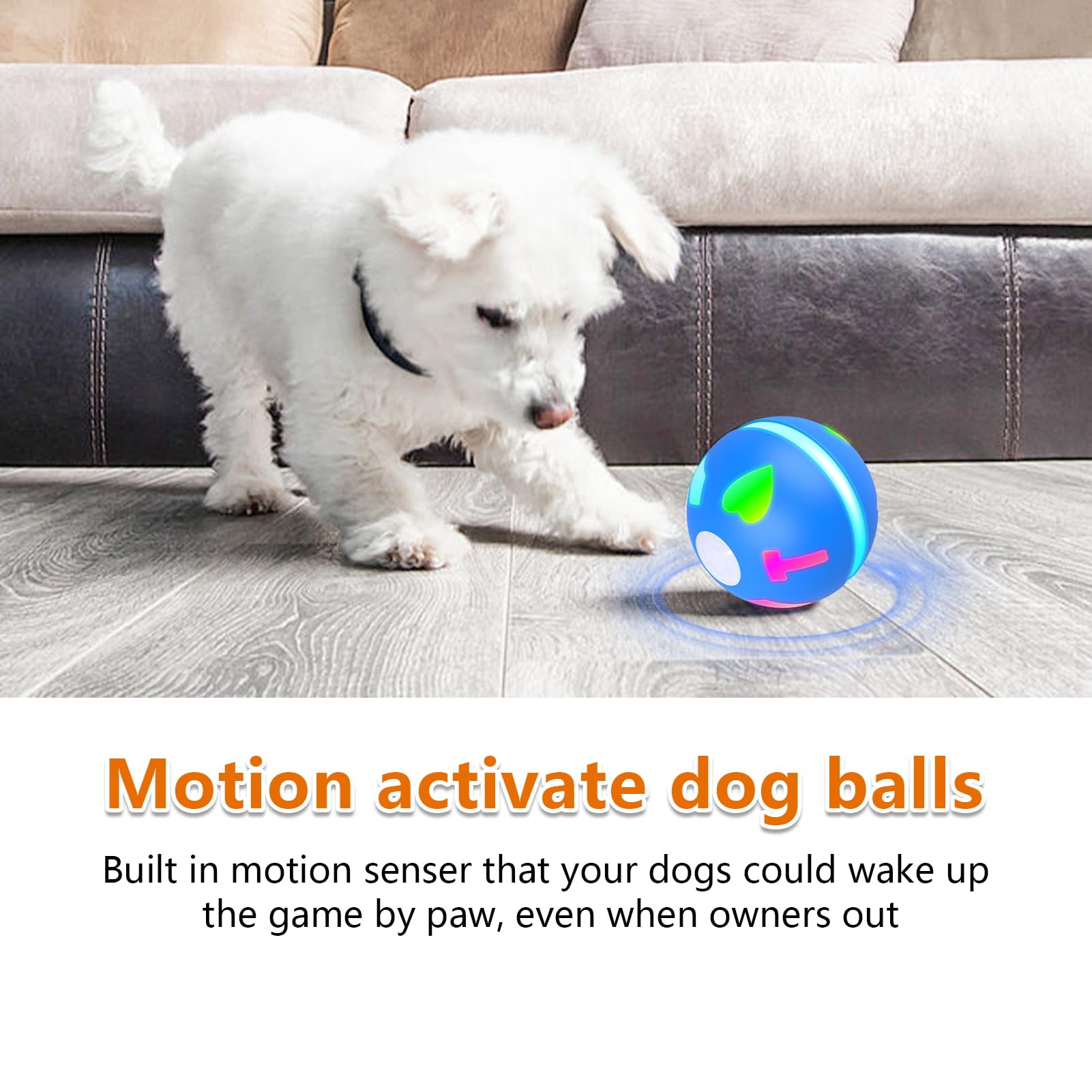 Salodal balle en jeu avec chiot illustrant stimulation et amusement