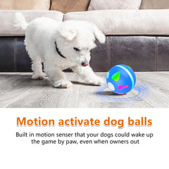 Salodal balle en jeu avec chiot illustrant stimulation et amusement