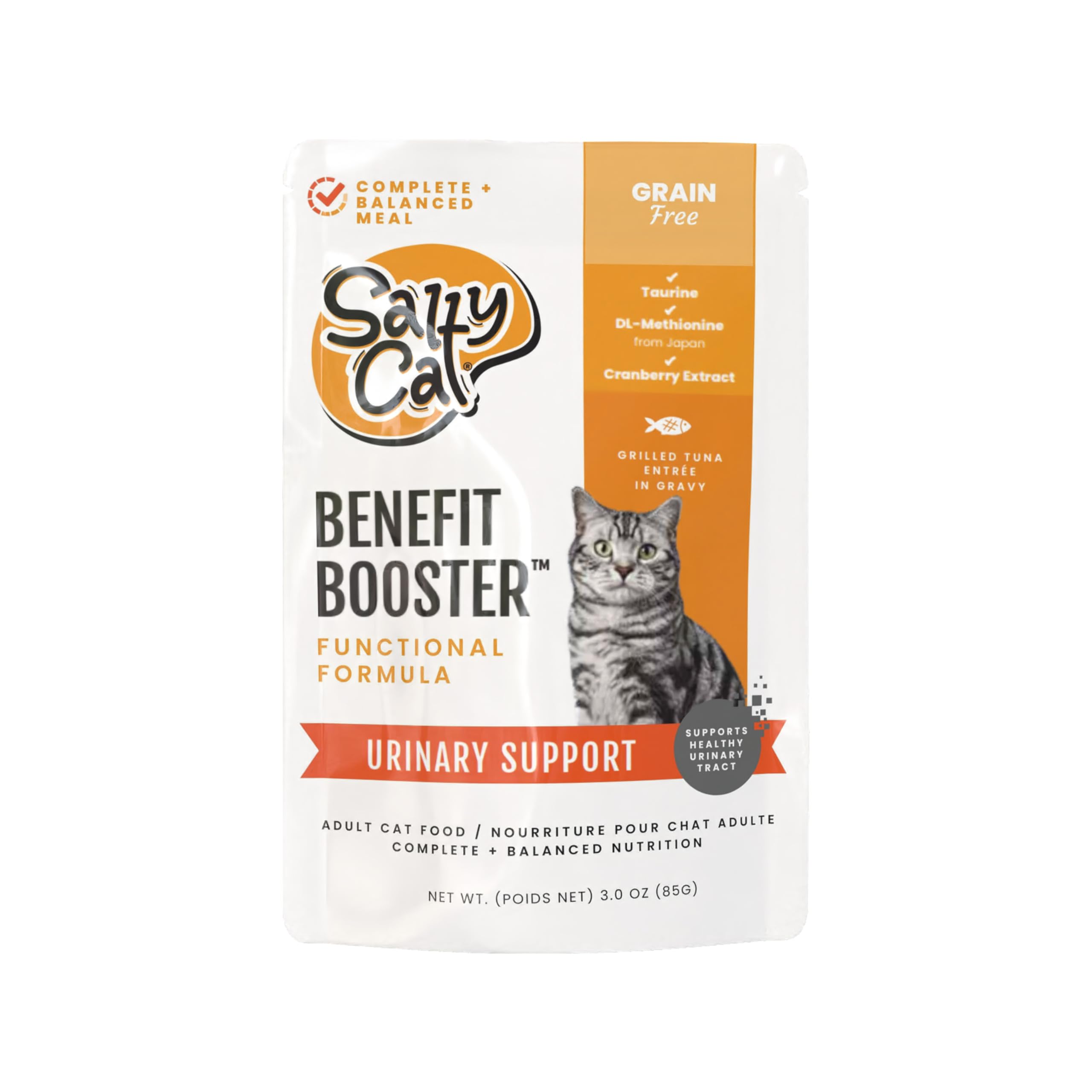 Salty Cat chat en train de manger démontrant acceptation par les difficiles