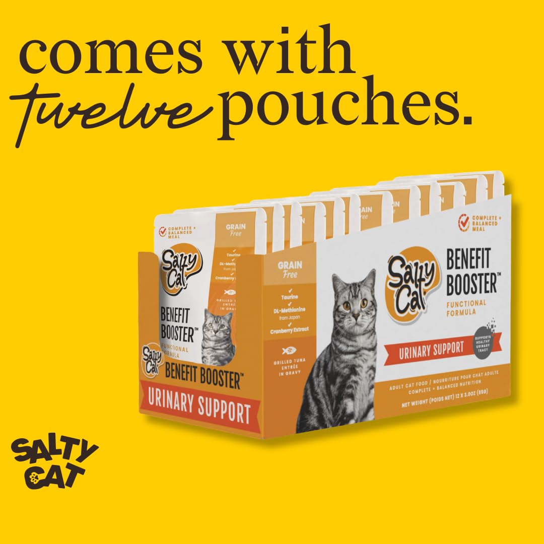 Salty Cat comparaison taille sachet montrant portion individuelle pratique