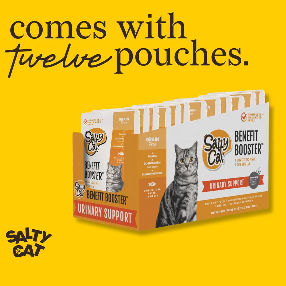 Salty Cat comparaison taille sachet montrant portion individuelle pratique