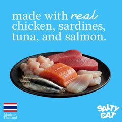 Salty Cat gros plan sur texture pâté lisse et appétente facilitant la mastication