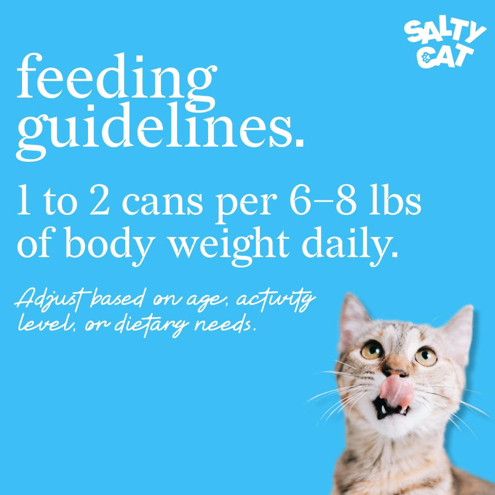 Salty Cat mise en scène dans une cuisine montrant facilité de service au quotidien