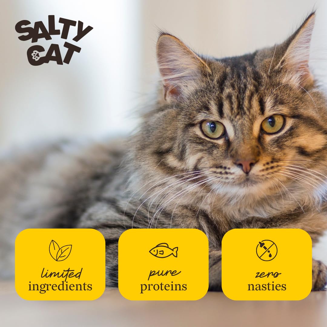 Salty Cat portion sur assiette illustrant service pratique et appétence
