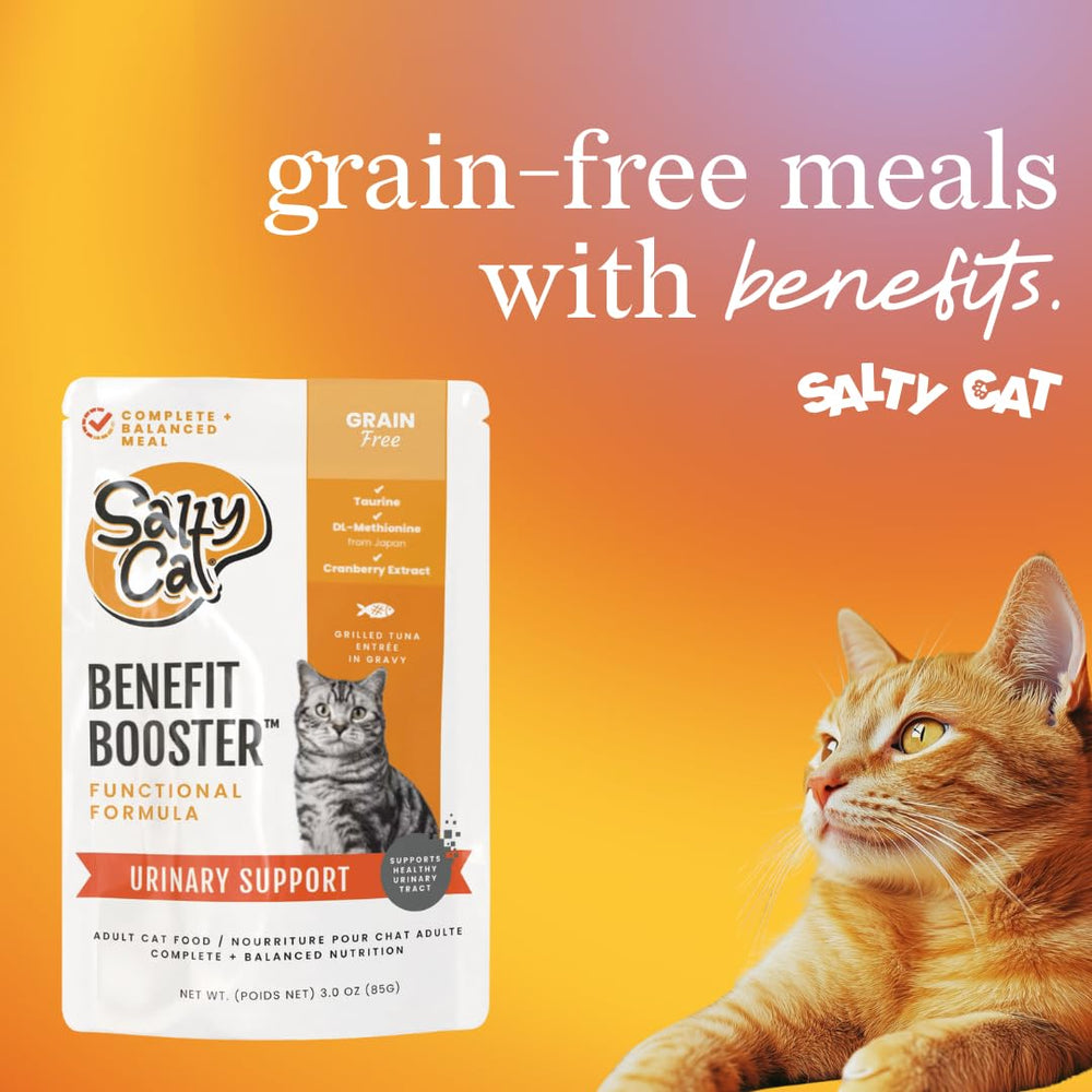 Salty Cat sachet ouvert montrant la texture appétente et hydratation