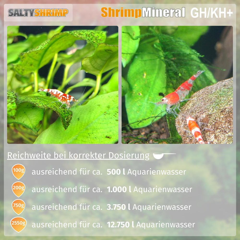 SALTYSHRIMP ajout dans eau illustrant mélange sûr et homogène