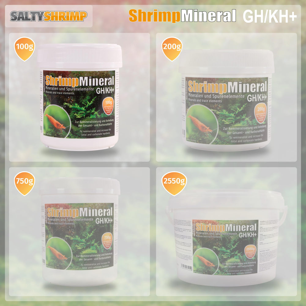 SALTYSHRIMP aquarium avec crevettes montrant couleur et vitalité accrues