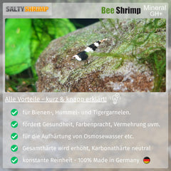 SALTYSHRIMP poudre dissoute dans verre illustrant méthode de dosage sûre