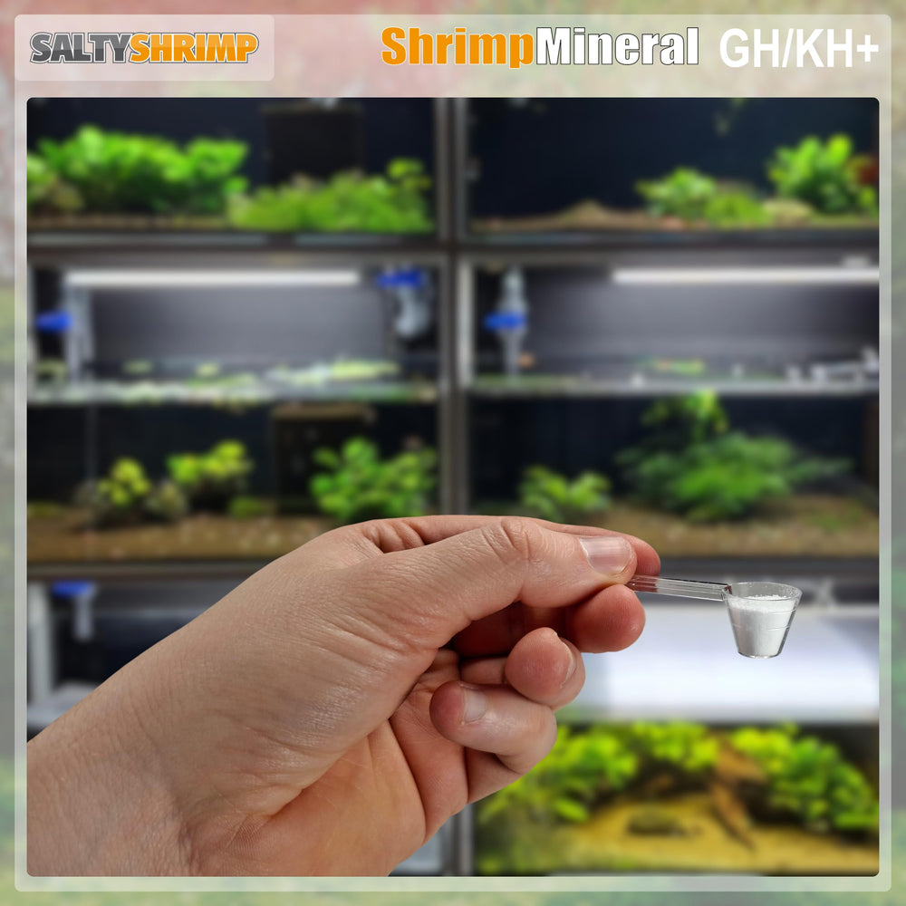 SALTYSHRIMP ouverture et cuillère doseuse pour un dosage simple et précis