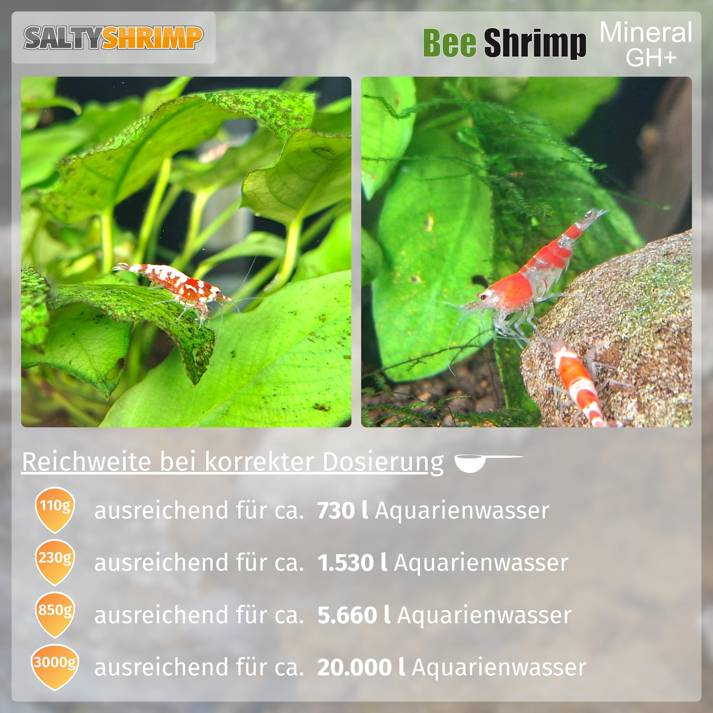 SALTYSHRIMP produit ajouté en aquarium favorisant santé et coloration des crevettes