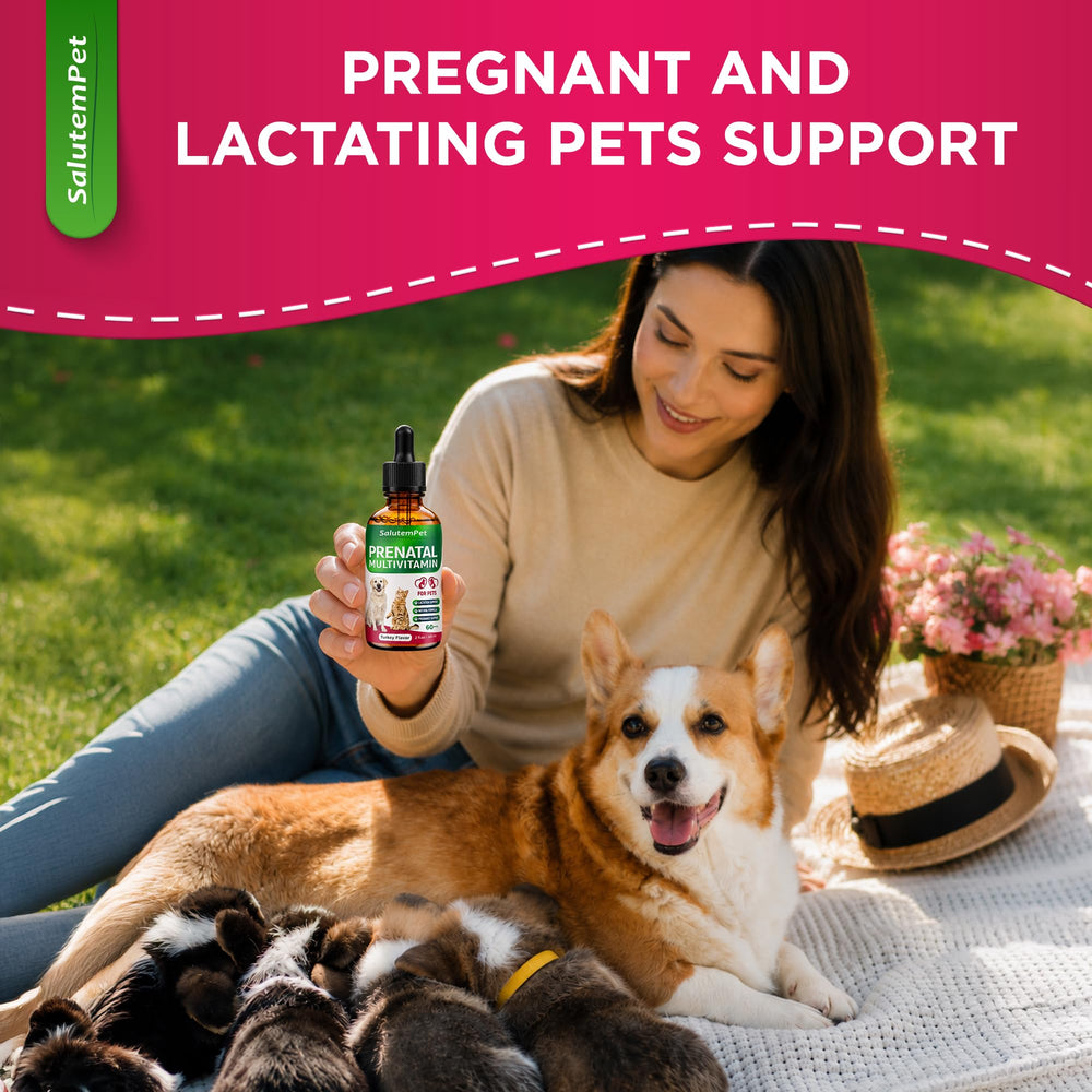 SalutemPet utilisé sur une chatte en lactation pour aider la supplémentation