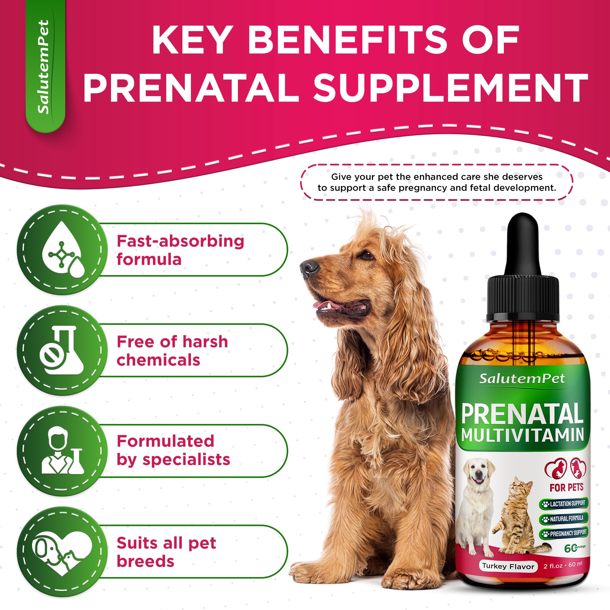 SalutemPet utilisé sur une chienne enceinte pour soutien nutritionnel