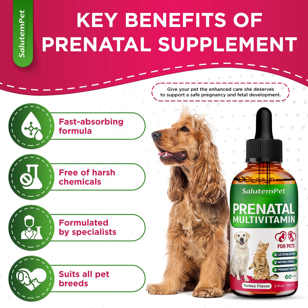SalutemPet utilisé sur une chienne enceinte pour soutien nutritionnel