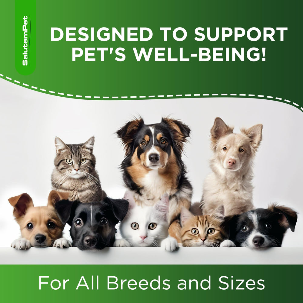 Seringue de dosage SalutemPet indiquant volumes, aide au dosage précis pour animaux