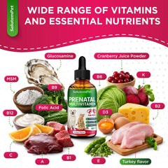 SalutemPet étiquette liste ingrédients lisible pour vérification des vitamines