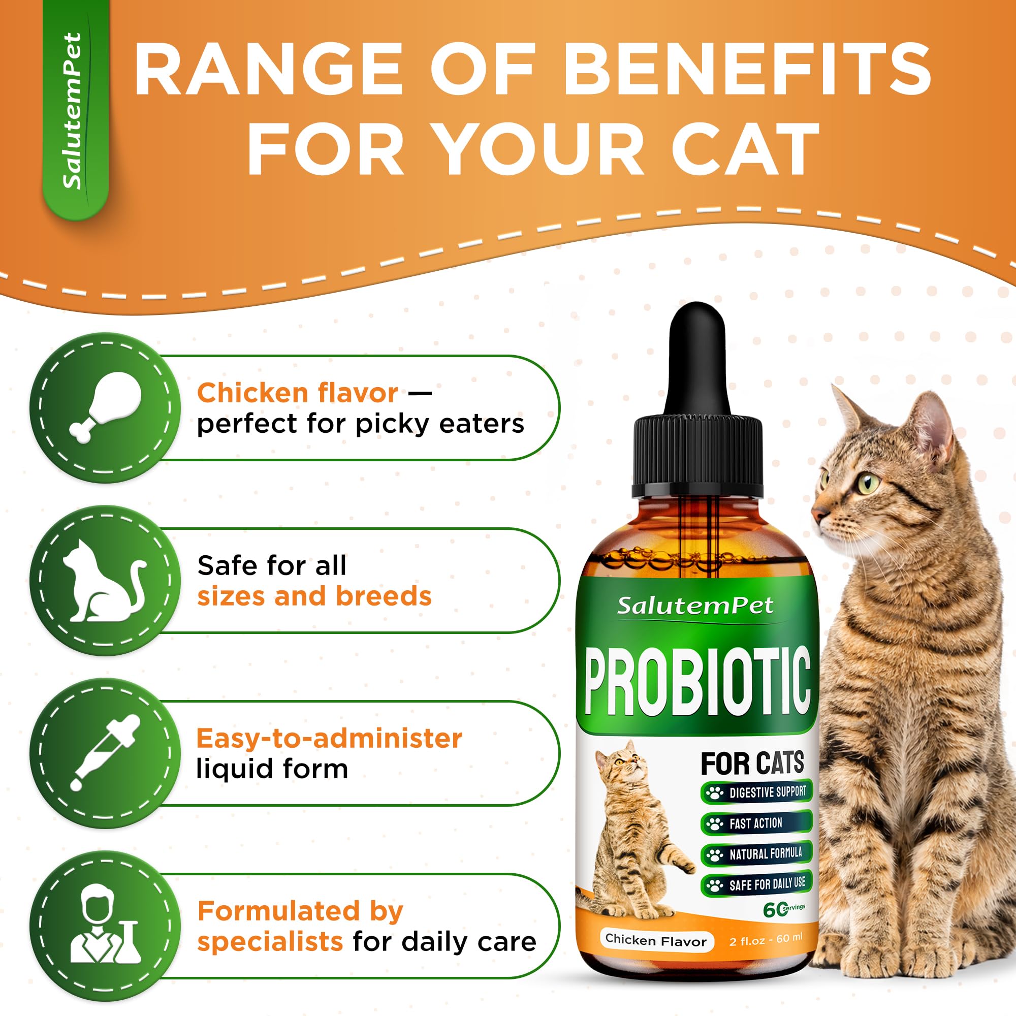 Chat mangeant produit montré avec SalutemPet pour digestion améliorée