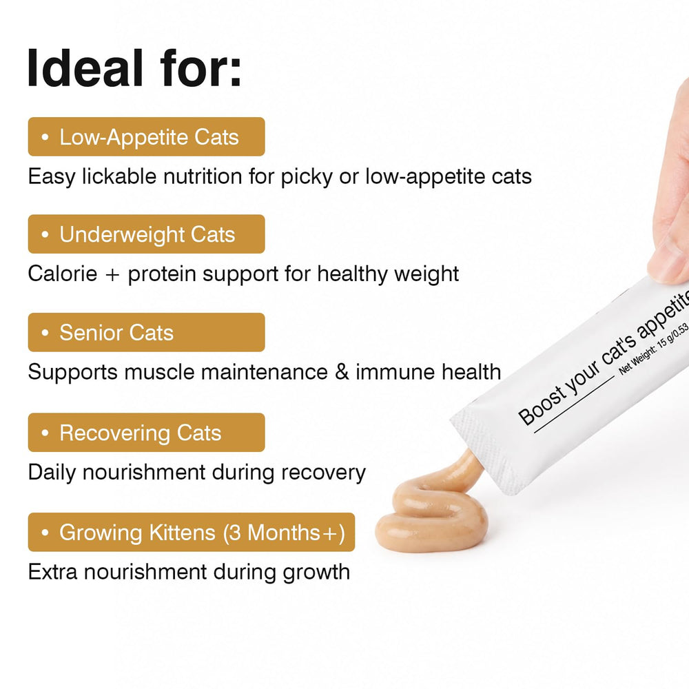 Salvetra texture onctueuse gros plan pour appétit et apport calorique