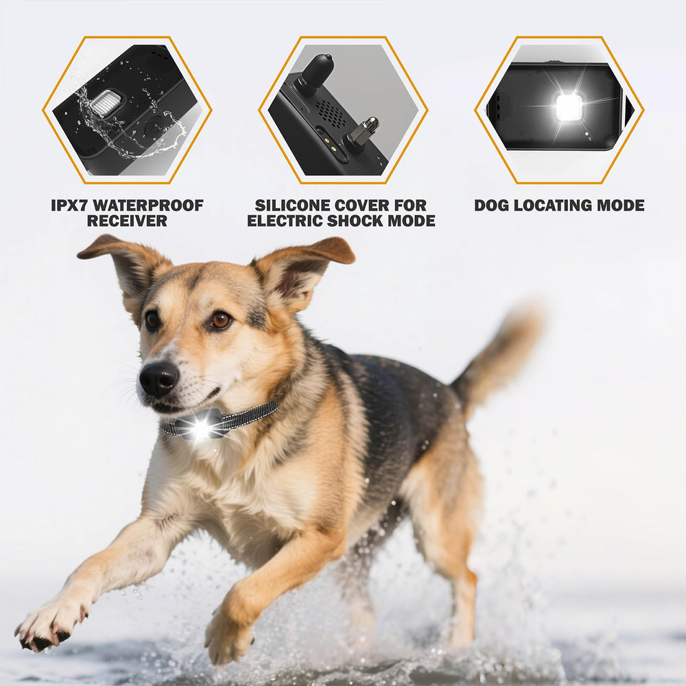 SanCol collier immergé en eau, IP68 pour baignades et jeux humides