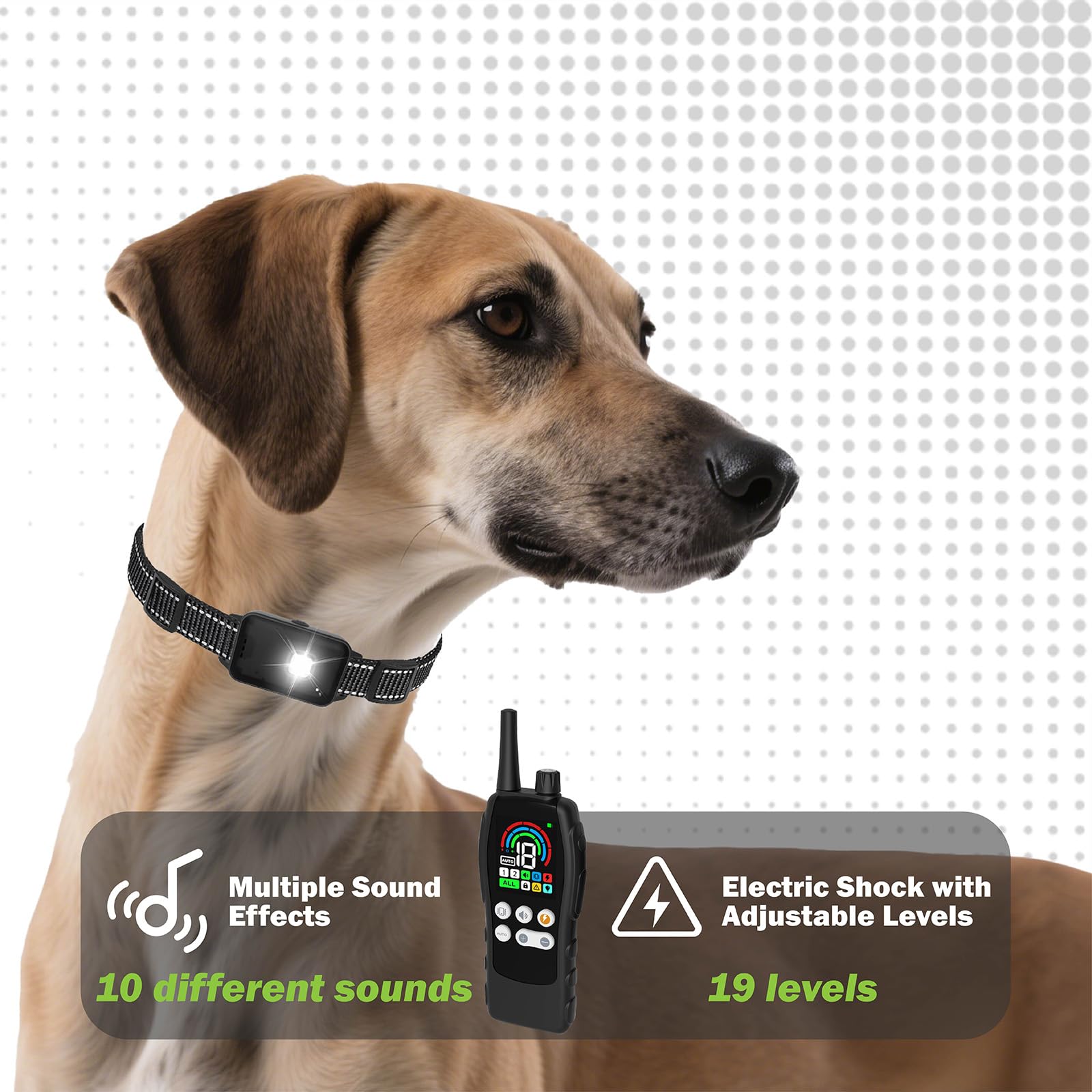 SanCol packaging ouvert montrant collier, télécommande et câbles USB inclus