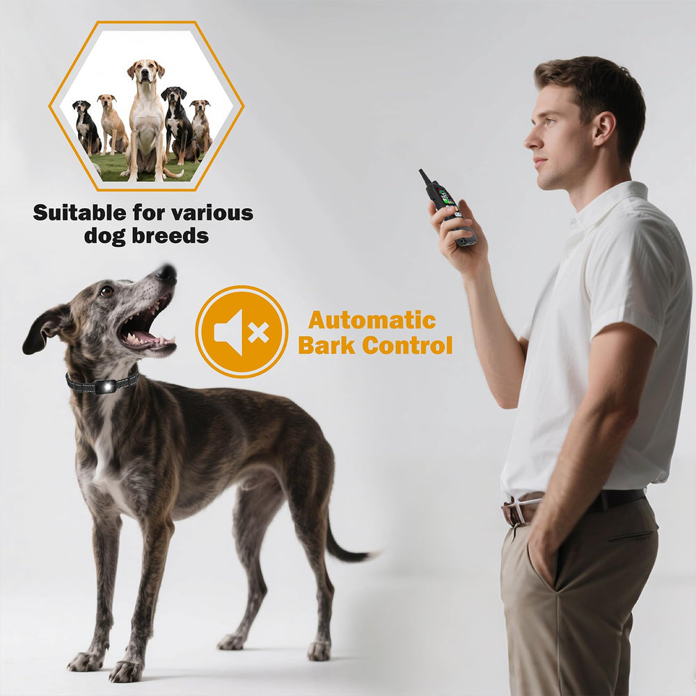SanCol sangle TPU souple et résistante, confort prolongé pour le chien