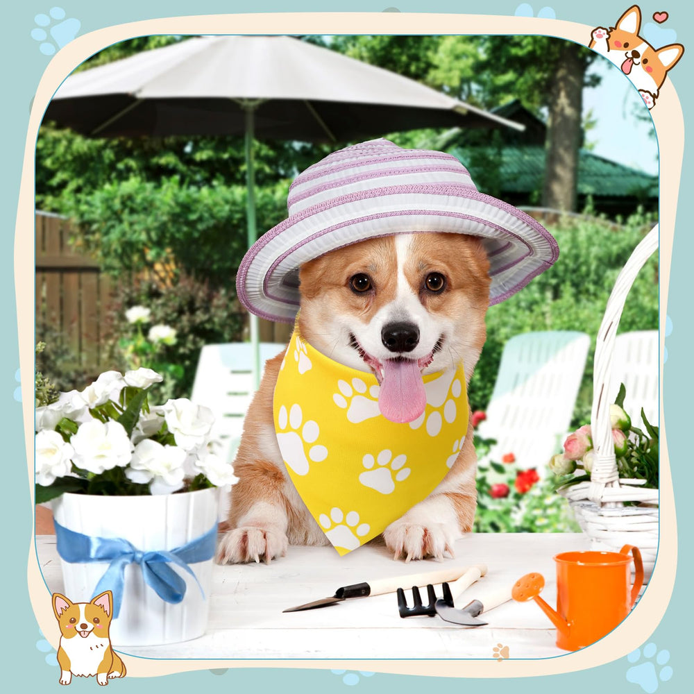 Sanwuta plusieurs chiens portant bandanas en fête, photos coordonnées