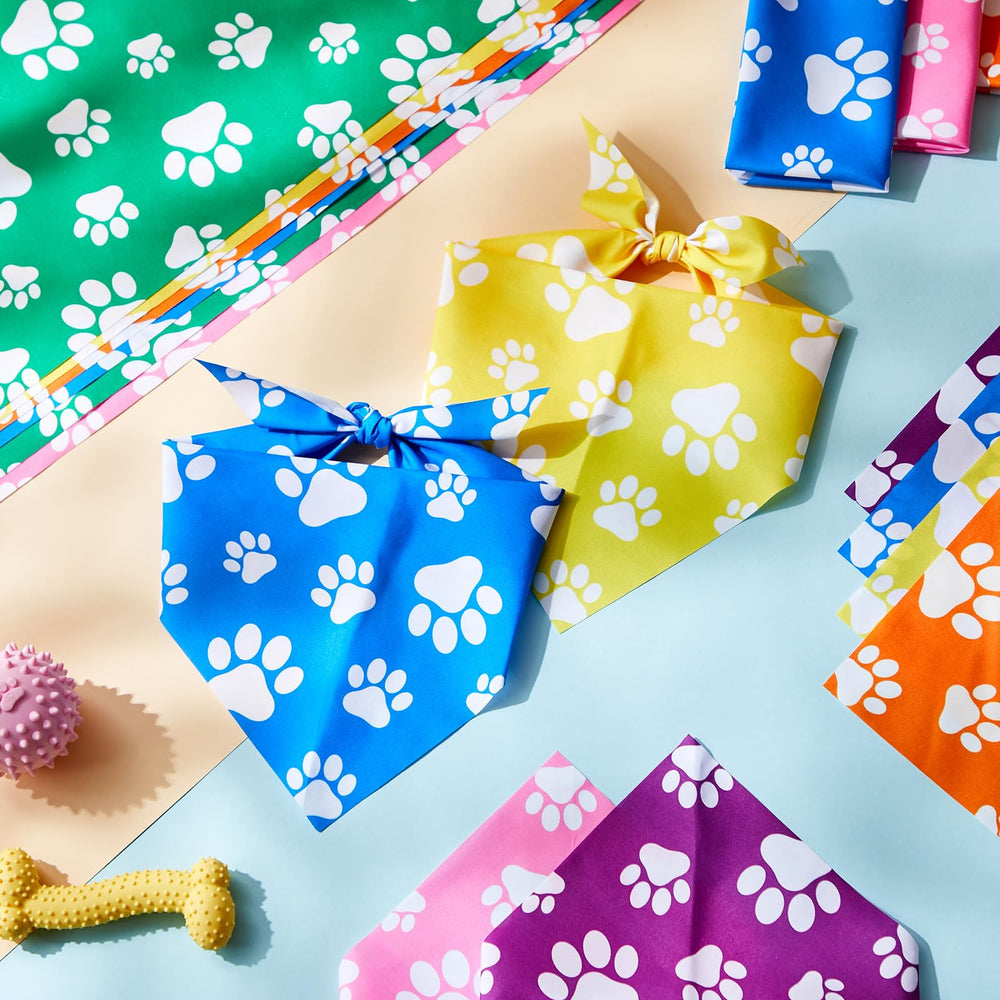 Sanwuta bandana à côté d'un objet pour comparaison de taille pratique