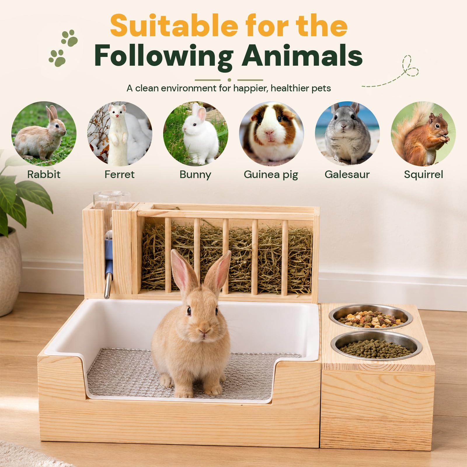 SANXHAMSTER comparaison de taille illustrant l'échelle adaptée aux petits animaux