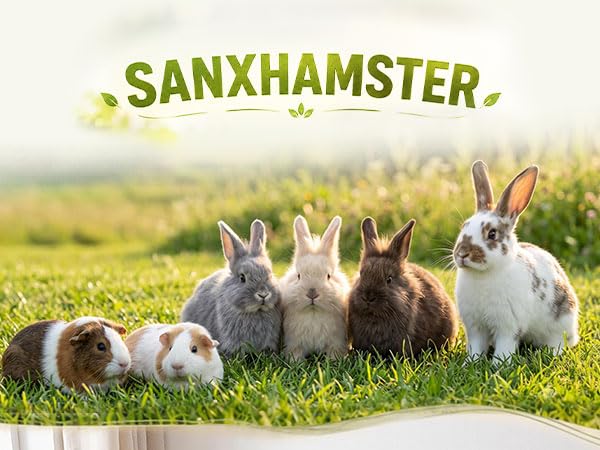 SANXHAMSTER station placée dans une cage domestique esthétique et stable
