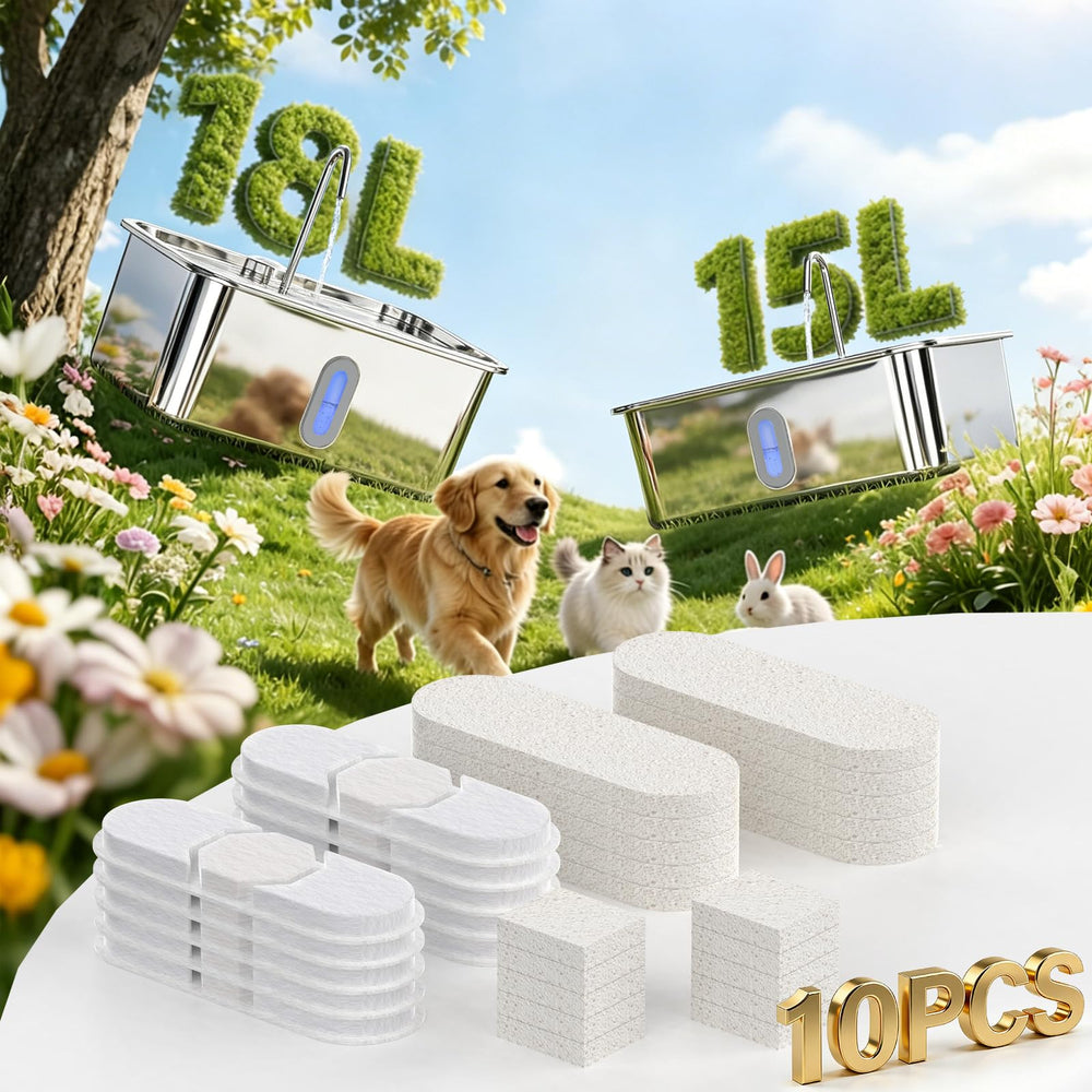 SANXUO lot de 10 cartouches emballées préservant fraîcheur
