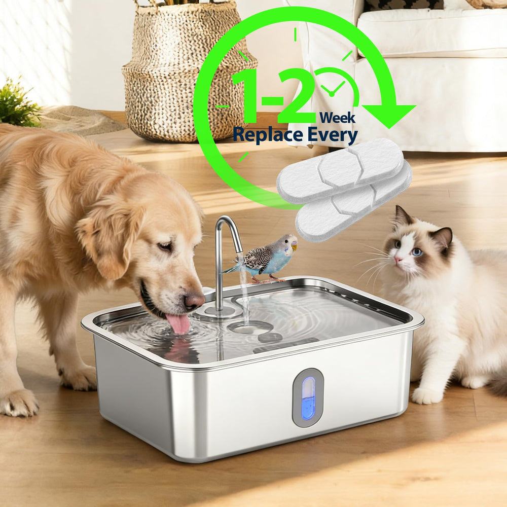 SANXUO comparaison taille pour évaluer compatibilité 15L